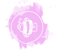 Image icon